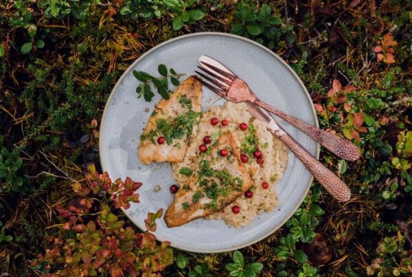 paistetut ahvenet tattiohratto Ruka-Kuusamo lähiruoka villiruoka wildfood