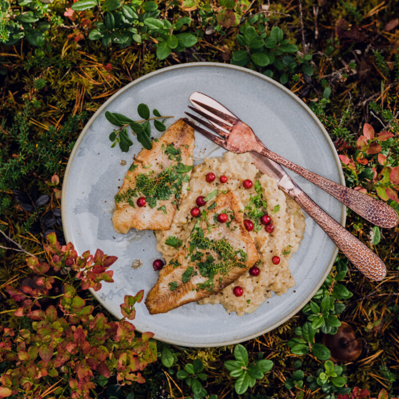 paistetut ahvenet tattiohratto Ruka-Kuusamo lähiruoka villiruoka wildfood